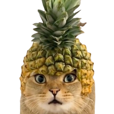 Logo Pinapple Cat